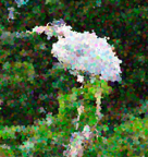 Pointillize